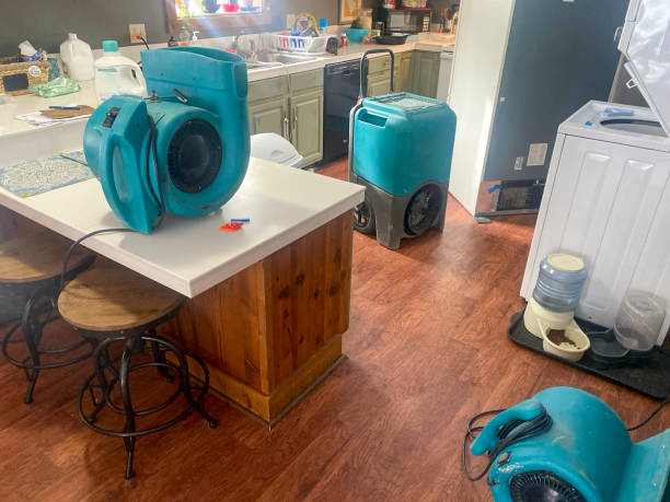 Best Flood damage cleanup  in Albany, LA