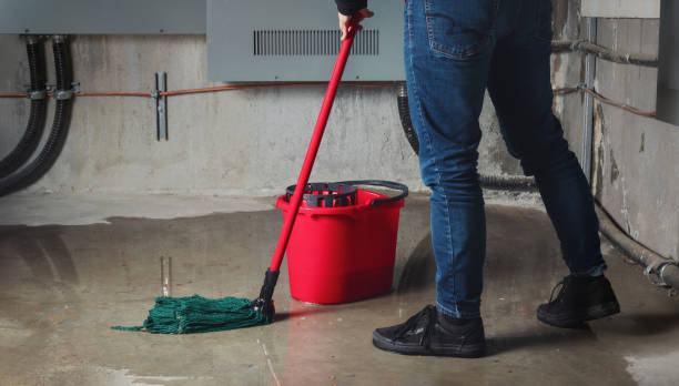 Best Flooded house restoration  in Albany, LA